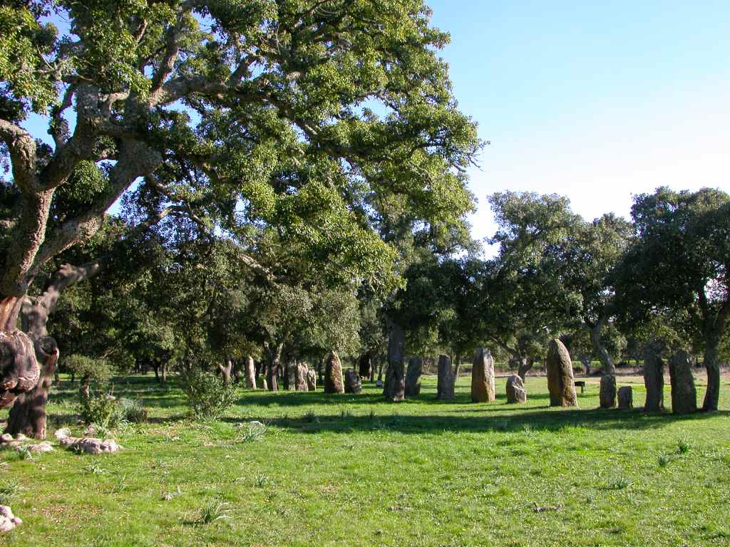 Old cork oak with the long line of menhirs
