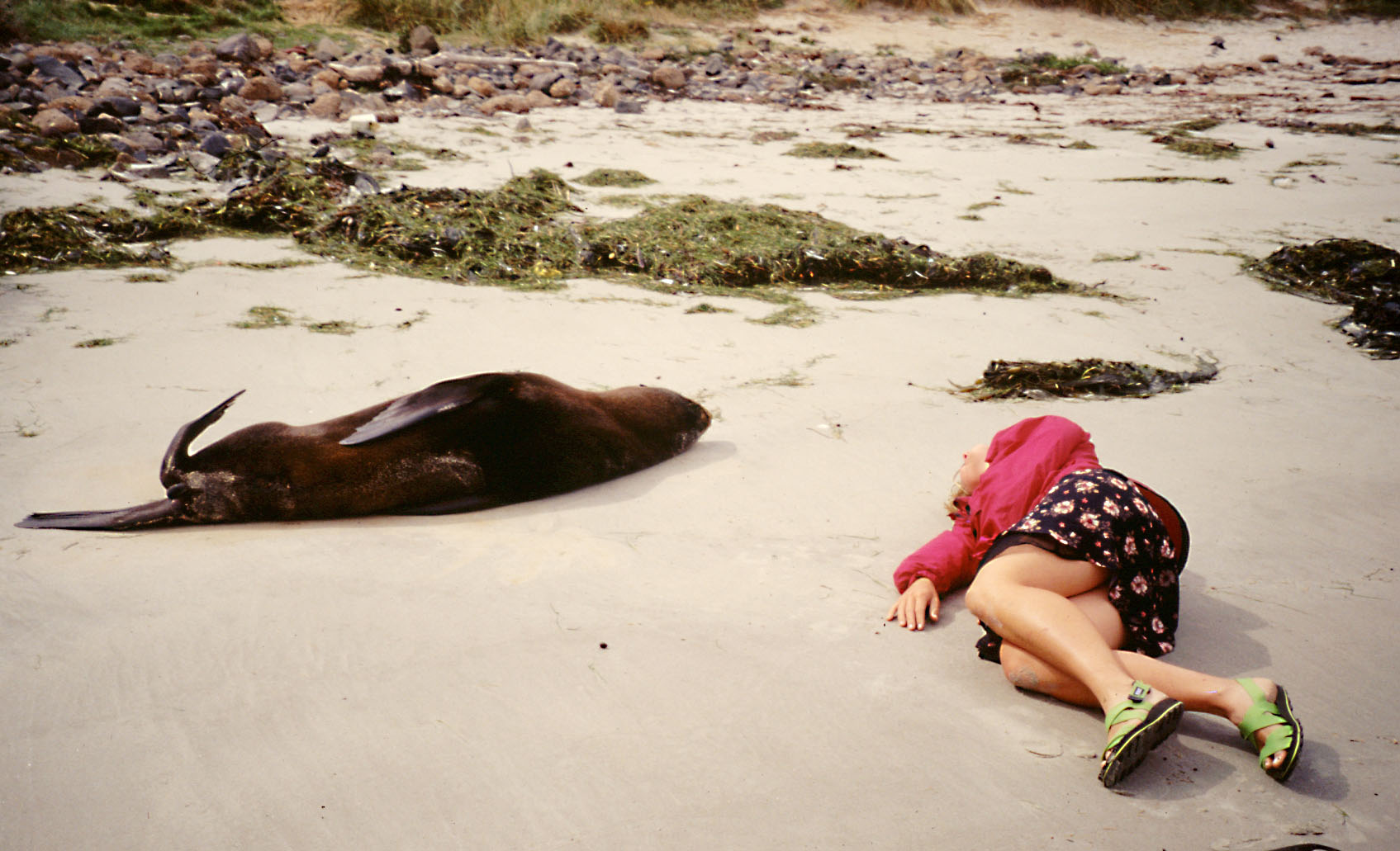 m with seal