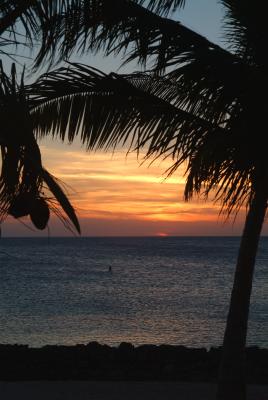 Hues of orange...