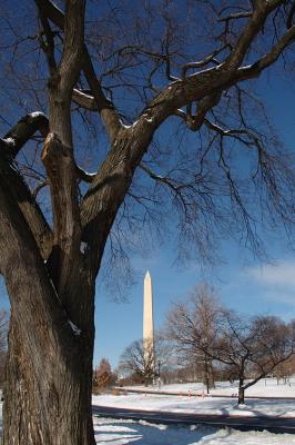 Washington Monument_8366