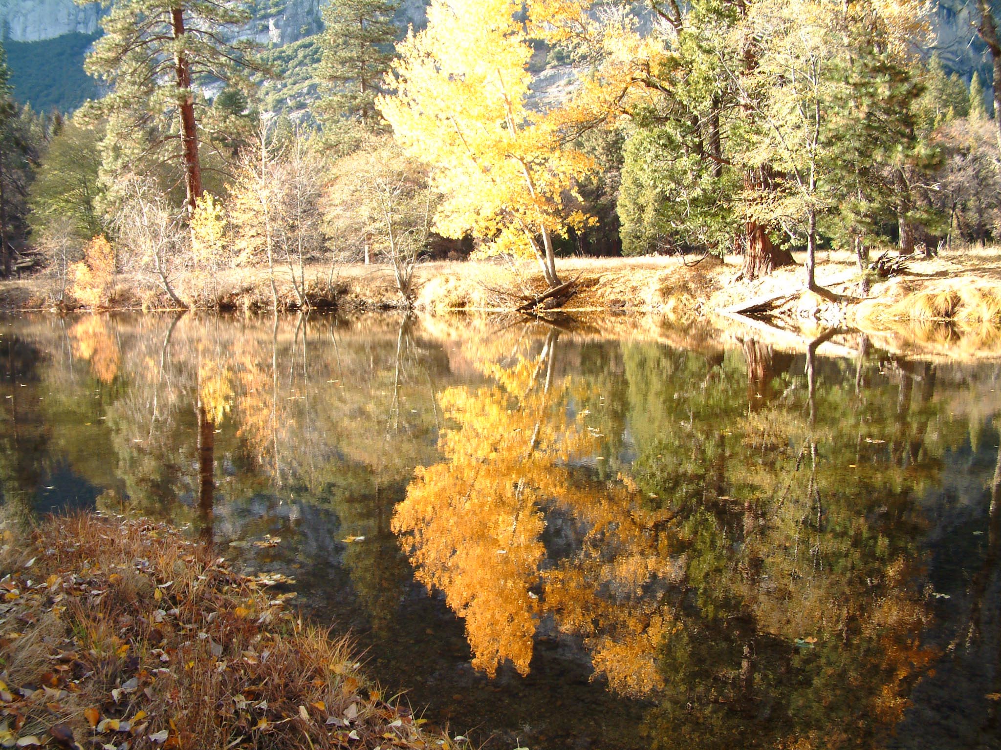 lake reflections.jpg