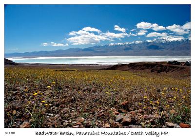 Death Valley in the spring