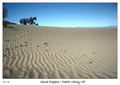 Sand ripples