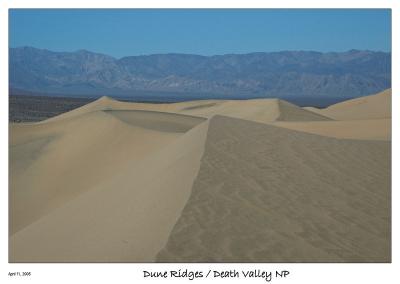 Dune Ridge