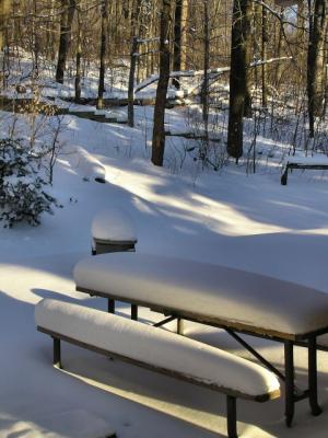 Cayo poquita nieve en un dia...