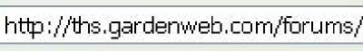 Screenshot.jpg