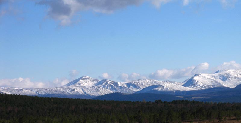 Cairngorms 16th April PM