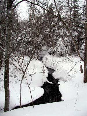Winter's Stream