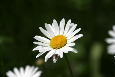 IMG_0904.jpg