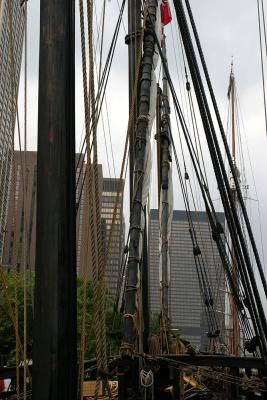 IMG_1498.jpg