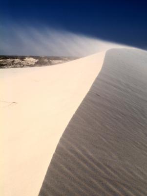 u16/cgra2/medium/42098073.Dunes4.jpg