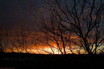 u16/cgra2/medium/42098167.MonahansSunrise.jpg