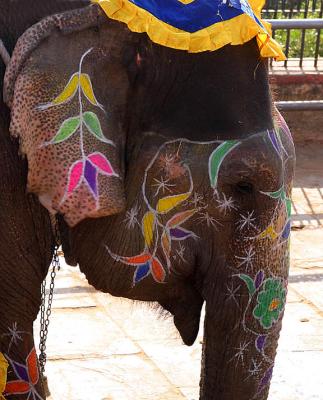 Elephant art Amber Fort co.jpg