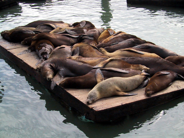 San Francisco Pier 39