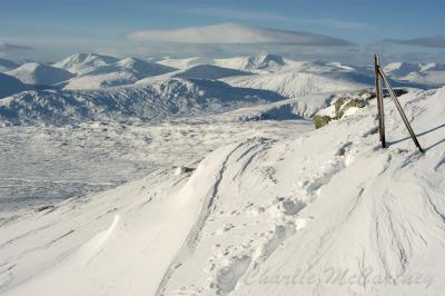 Bridge of Orchy - DSC_1115.jpg