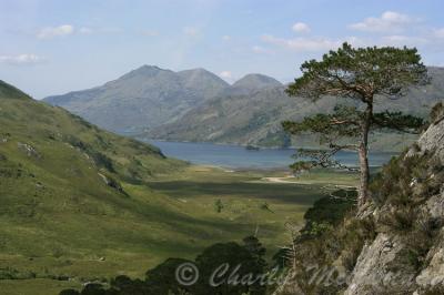 Beinn Sgritheall - DSC_8437.jpg