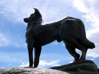 A tribute to the collie dog at Lake Tekapo