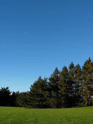 Rotary Park, Dunedin