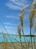 Lake Pukaki