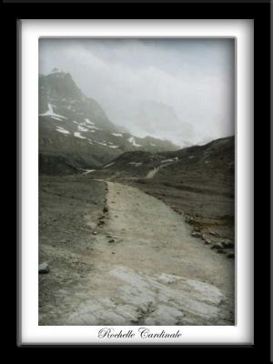 Glacier Trail