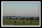 Hay Bales and Morning Mist