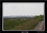 IMG_6878.jpg