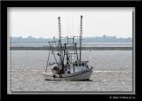 IMG_6880.jpg