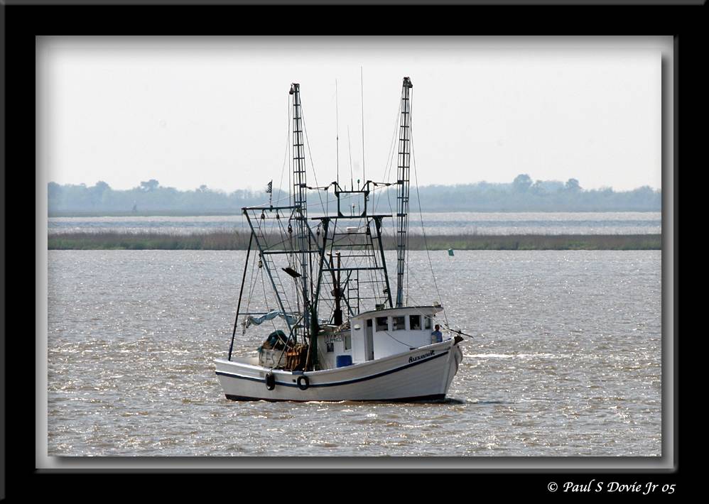 IMG_6880.jpg