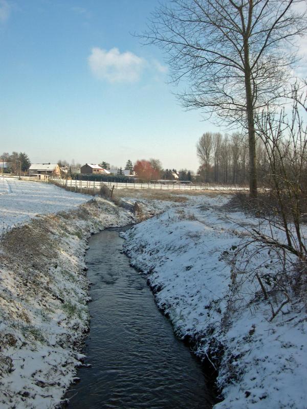 DSCN2304 Velpe.jpg