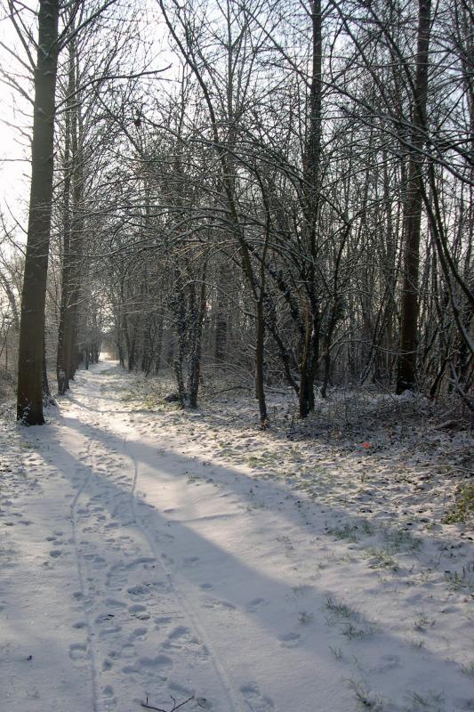 DSCN2308 naar roosbeek.jpg