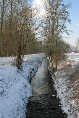 DSCN2303 velpe.jpg