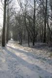 DSCN2308 naar roosbeek.jpg