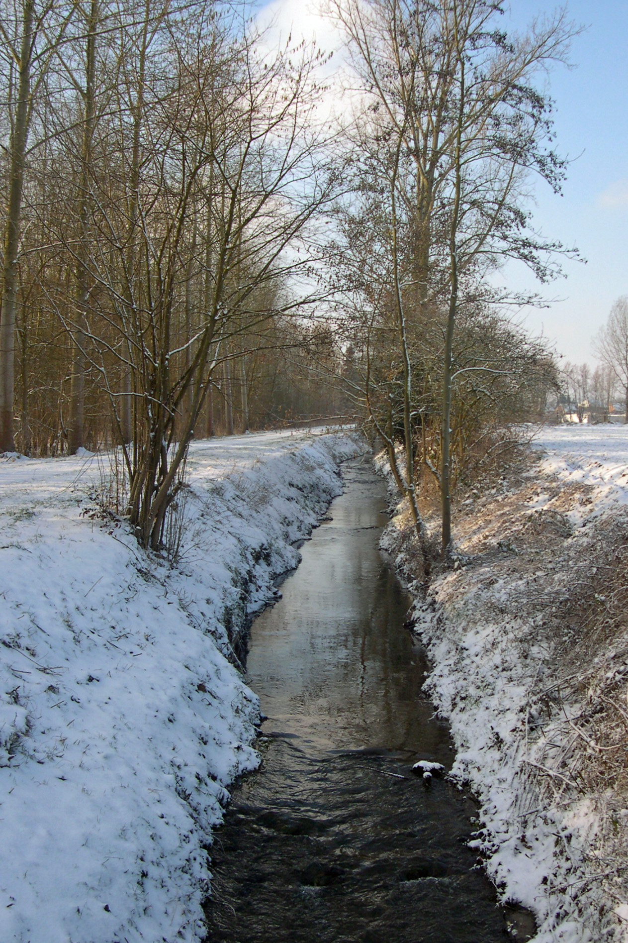 DSCN2303 velpe.jpg