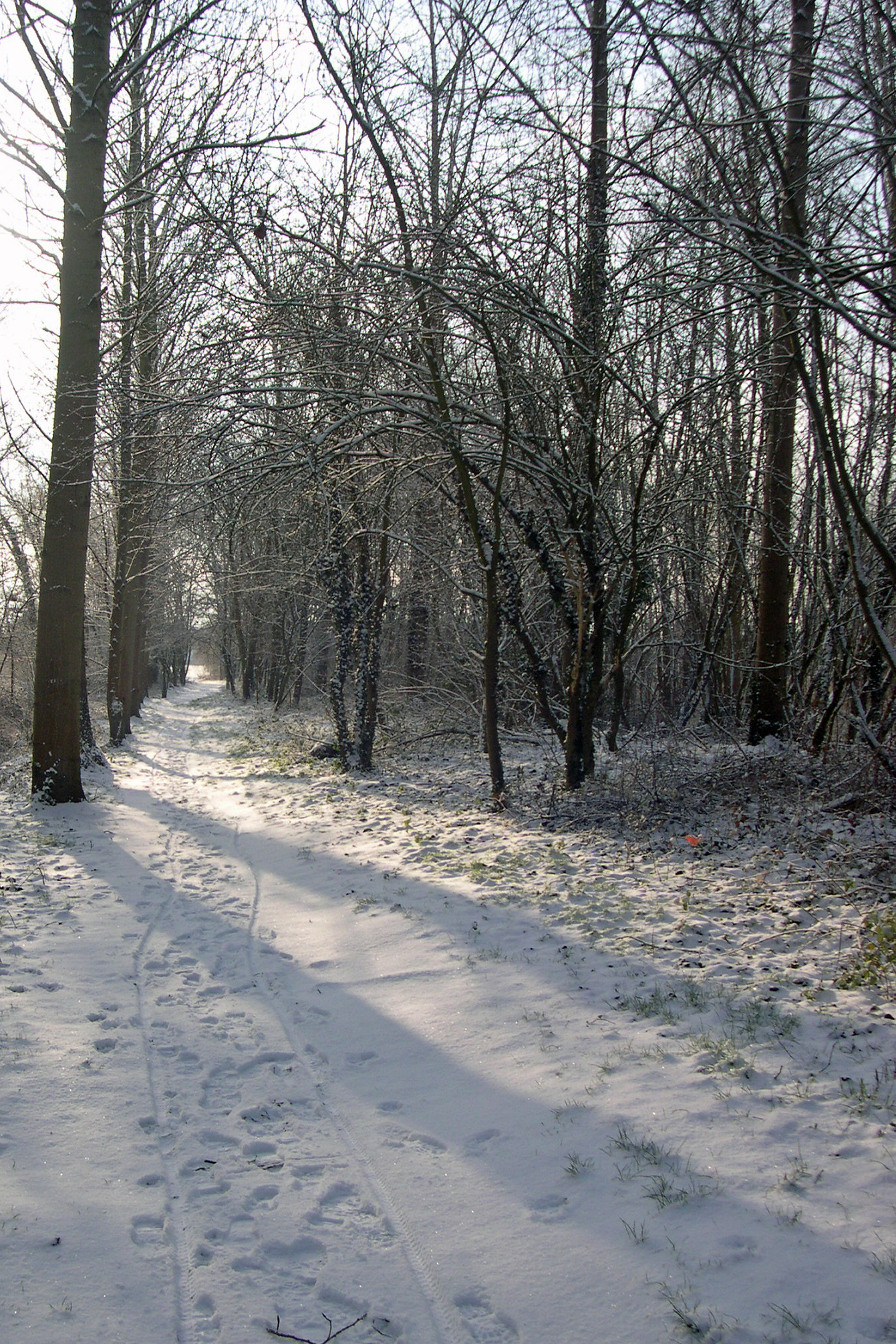 DSCN2308 naar roosbeek.jpg