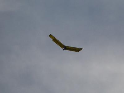 DSC02688.jpg