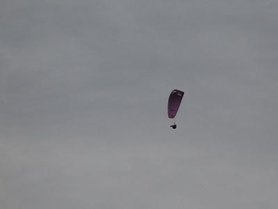 DSC02690.jpg