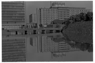 Tokyo Reflections