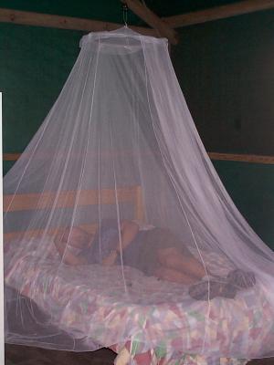 Doesn't Dave look safe under the mosquito net??