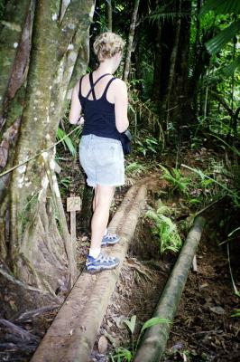 Hiking in rainforest...spoooky