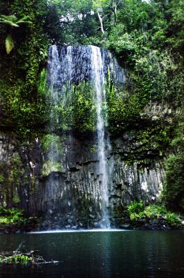 Milaa Milaa Falls - Atherton Tablelands