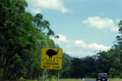 Watch out!!  Cassowary Crossing