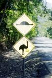 Australian humor - BEFORE--Cassowary Warning, AFTER (top) -Speed bump sign doctored to look like dead Cassowary