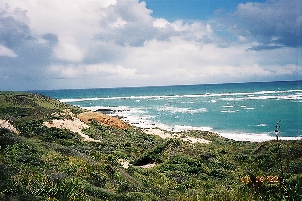 Our First View of Tasman Sea