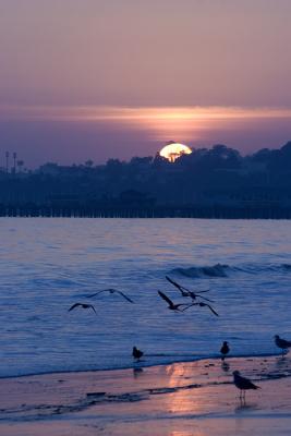 santa_barbara_2005