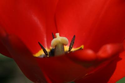 IMG_8006.JPG