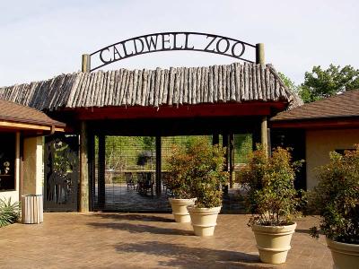 CALDWELL ZOO GALLERY  16 APRIL 2005