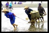 Fishing village Hai Thinh Beach
