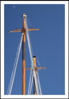 ...with lots of masts against the sky.