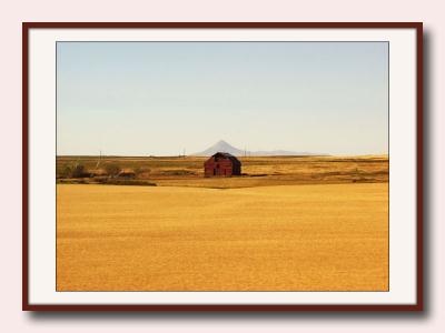 (prairie, barn, west)