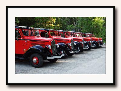 Lil Red Buses at Glacier